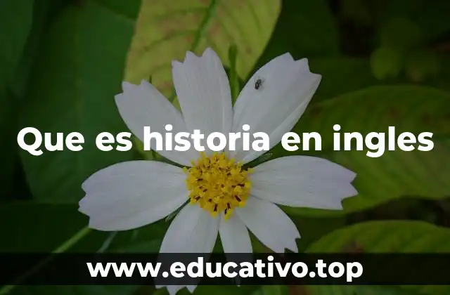 Que es historia en ingles