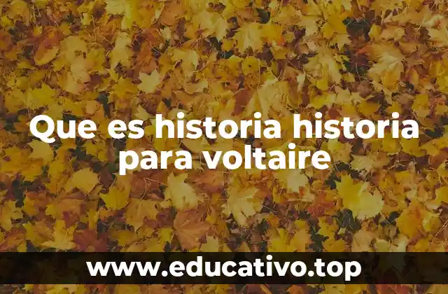 Que es historia historia para voltaire