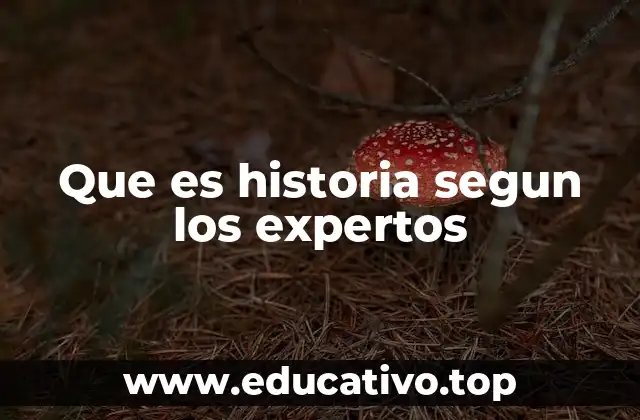 El papel de la historia en la formación de identidades colectivas