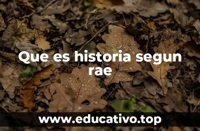 La historia como reflejo de la identidad colectiva