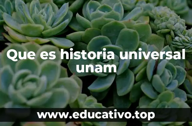 Que es historia universal unam
