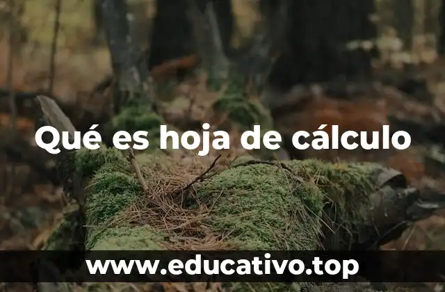 Qué es hoja de cálculo