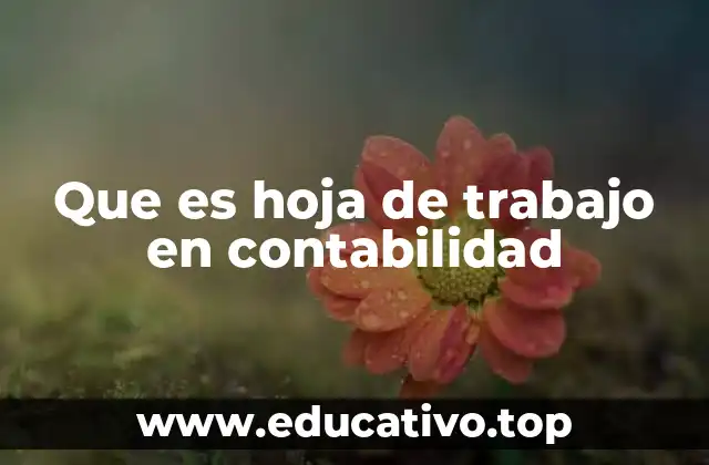 Que es hoja de trabajo en contabilidad