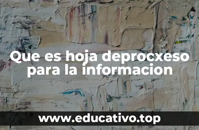 Que es hoja deprocxeso para la informacion