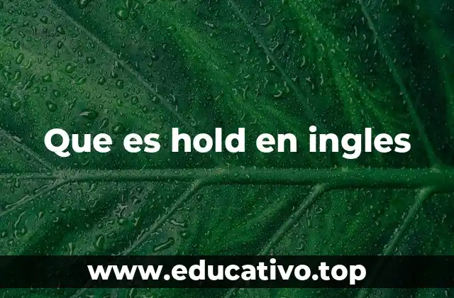 Que es hold en ingles