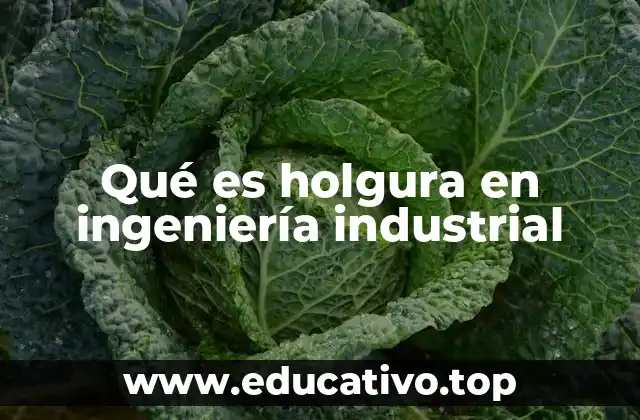 Qué es holgura en ingeniería industrial
