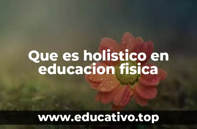 Que es holistico en educacion fisica