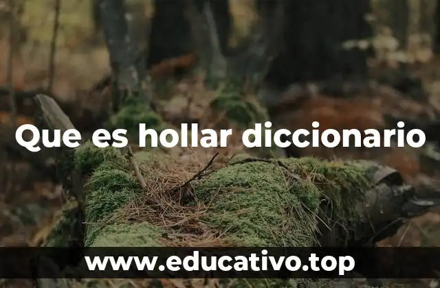 Que es hollar diccionario