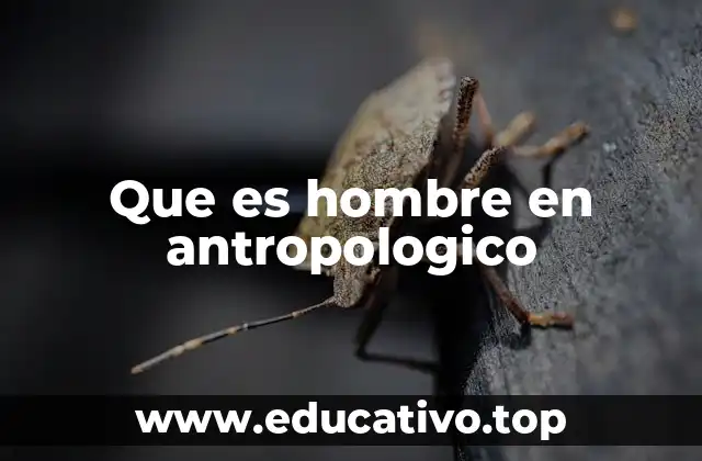 Que es hombre en antropologico