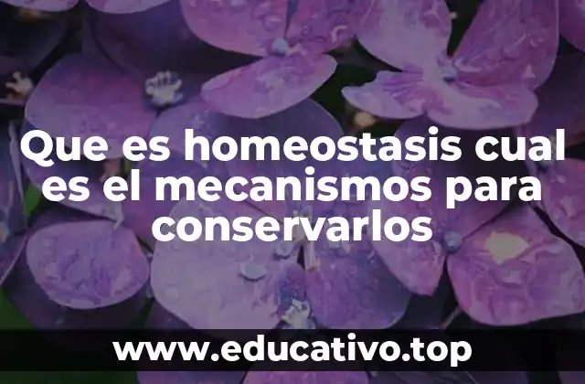 Que es homeostasis cual es el mecanismos para conservarlos