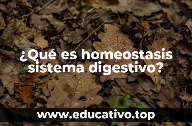 ¿Qué es homeostasis sistema digestivo?