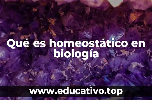 Qué es homeostático en biología