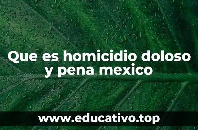 Que es homicidio doloso y pena mexico