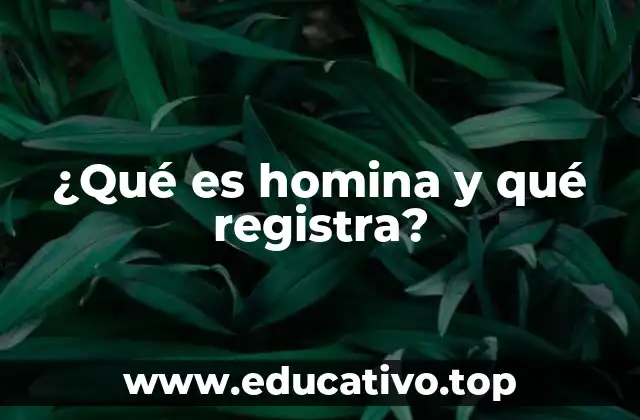 ¿Qué es homina y qué registra?