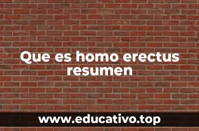 Que es homo erectus resumen