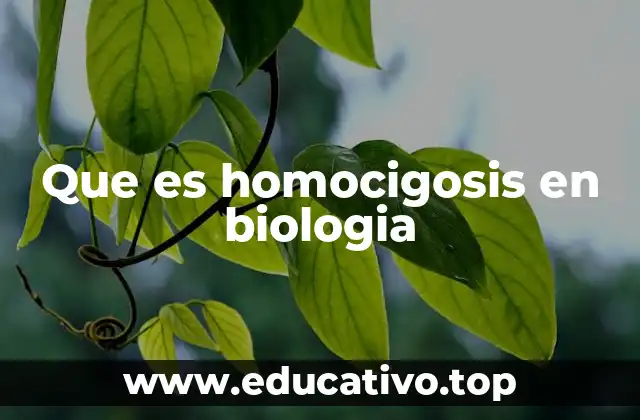 Que es homocigosis en biologia