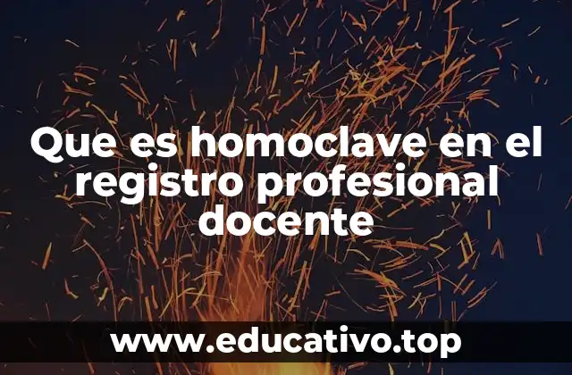 Que es homoclave en el registro profesional docente