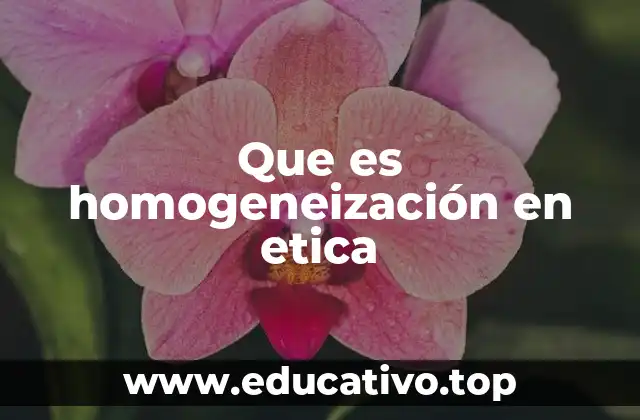 Que es homogeneización en etica
