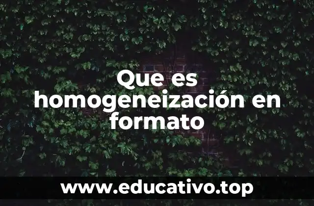 Que es homogeneización en formato