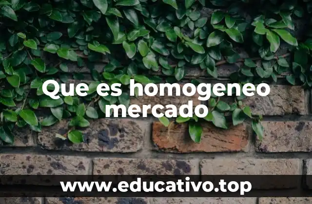 Que es homogeneo mercado