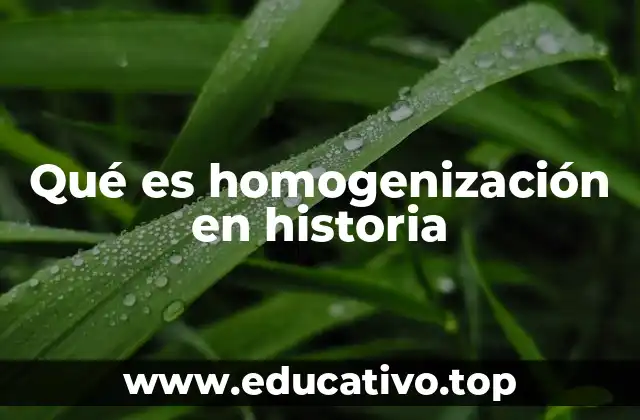 Qué es homogenización en historia