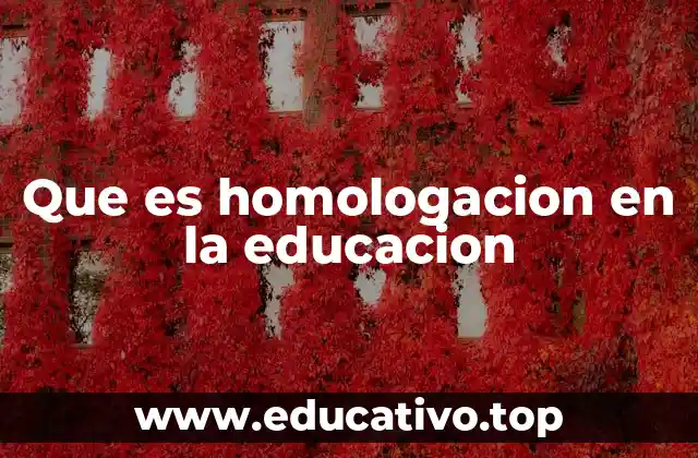 Que es homologacion en la educacion