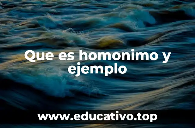 Que es homonimo y ejemplo