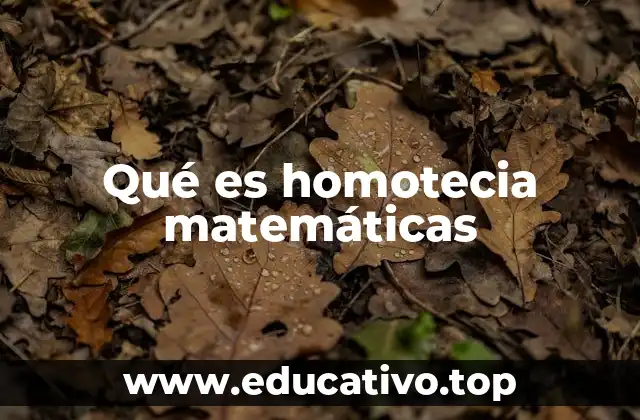 Qué es homotecia matemáticas