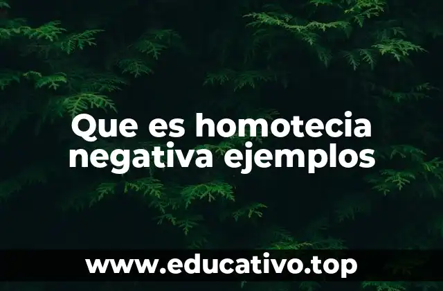 Transformaciones geométricas y el papel de la homotecia