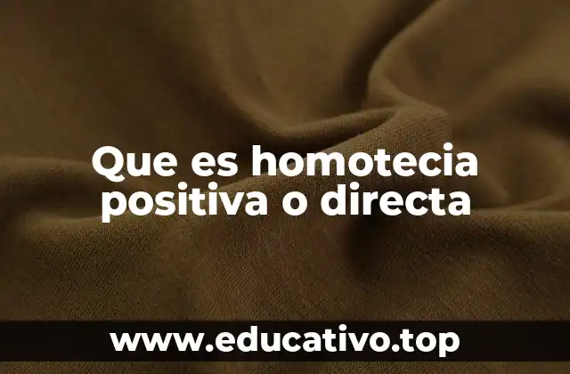 Que es homotecia positiva o directa