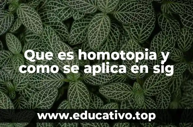 Que es homotopia y como se aplica en sig