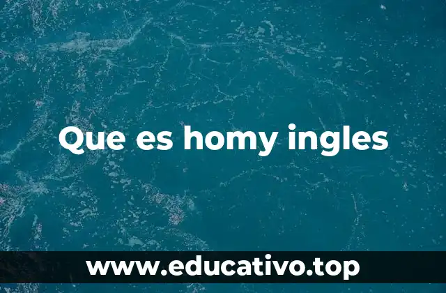Que es homy ingles