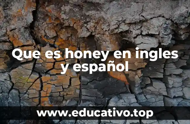 Que es honey en ingles y español