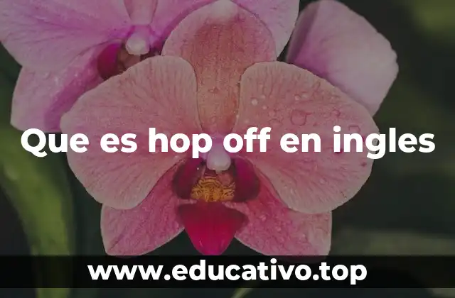 Que es hop off en ingles