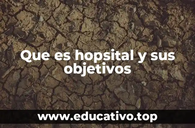 Que es hopsital y sus objetivos