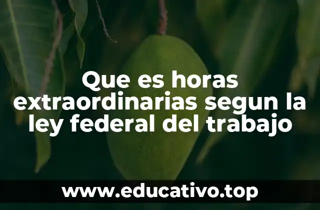 Que es horas extraordinarias segun la ley federal del trabajo