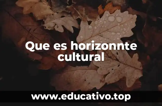 Que es horizonnte cultural