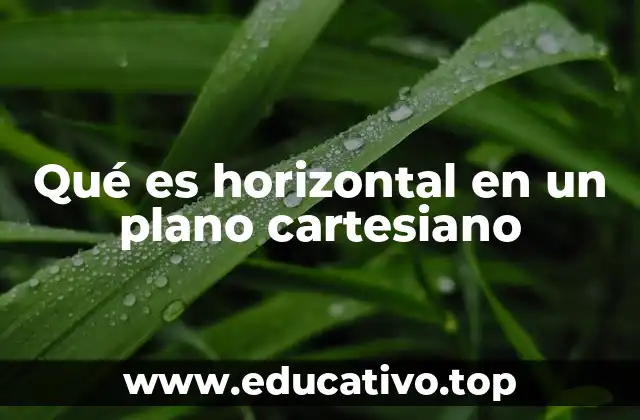 Qué es horizontal en un plano cartesiano
