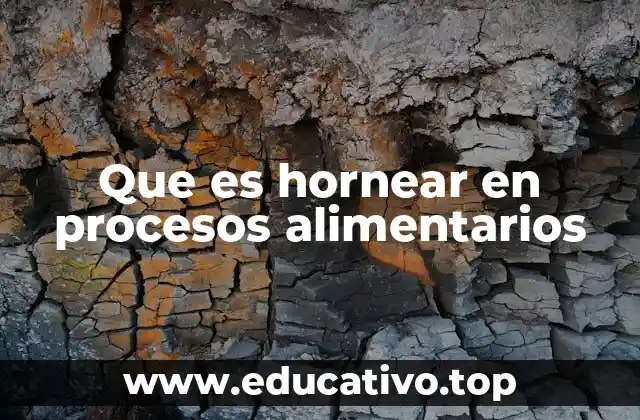 Que es hornear en procesos alimentarios