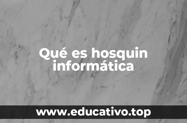 Qué es hosquin informática