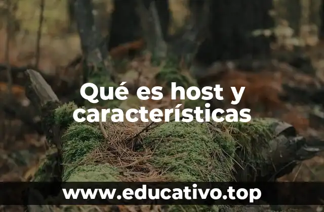 Qué es host y características