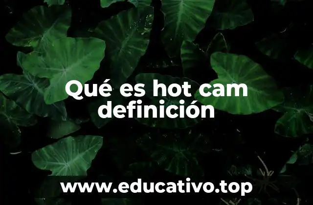 Qué es hot cam definición