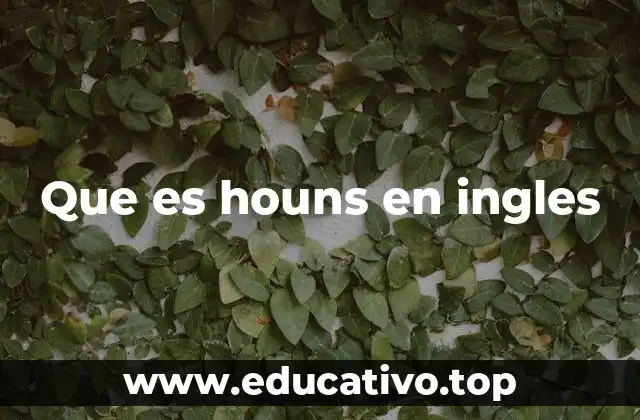 Que es houns en ingles