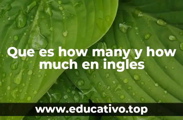 Que es how many y how much en ingles