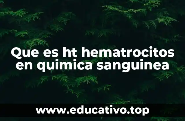 Que es ht hematrocitos en quimica sanguinea