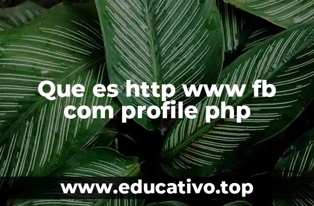 Que es http www fb com profile php