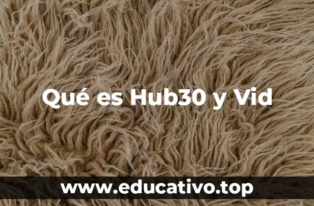 Qué es Hub30 y Vid
