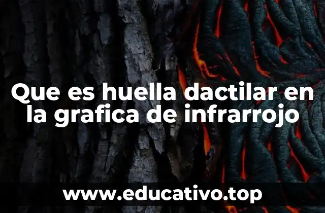 Que es huella dactilar en la grafica de infrarrojo