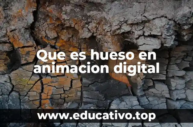 Que es hueso en animacion digital