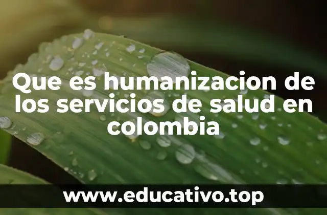 Que es humanizacion de los servicios de salud en colombia